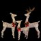 Northlight LED Lighted Reindeer Family Outdoor Christmas Decorations - Warm White - Set of 3